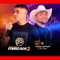 Pedro Filho & Forró Dos 2's avatar cover