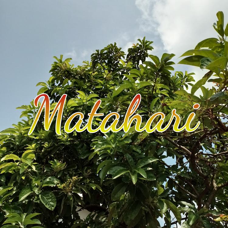 Matahari's avatar image