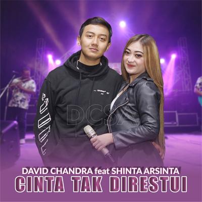 Cinta Tak Direstui By Shinta Arsinta's cover