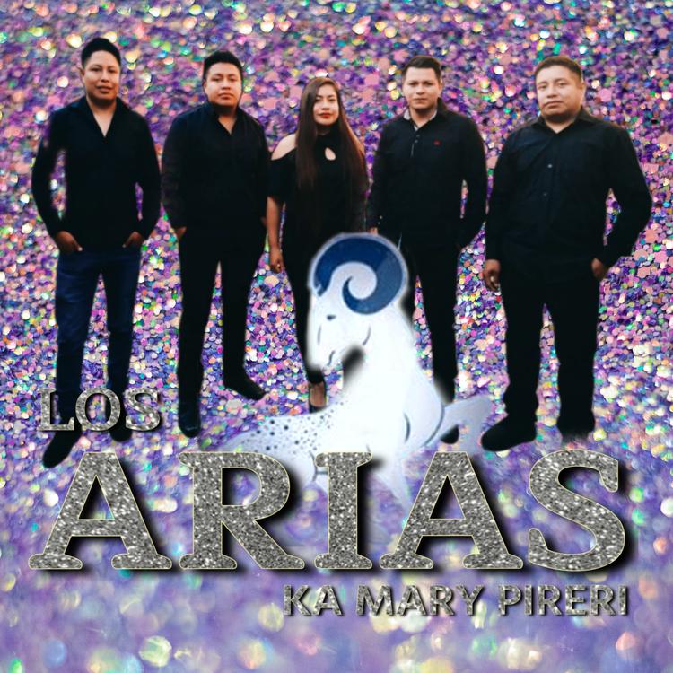 Los Arias Ka Mary Pireri's avatar image