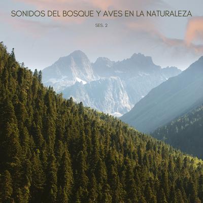 Audio De Naturaleza's cover