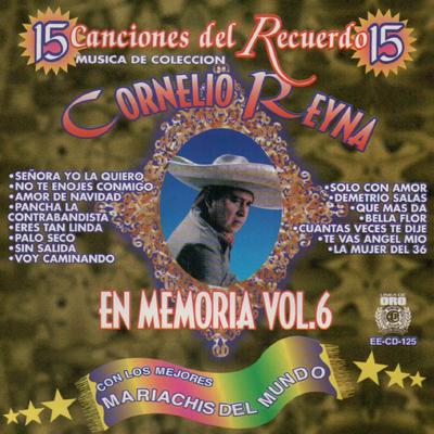 15 Canciones del Recuerdo's cover