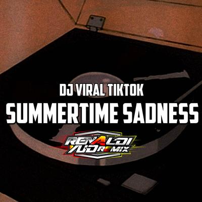 Dj Summertime Sadness (remix)'s cover