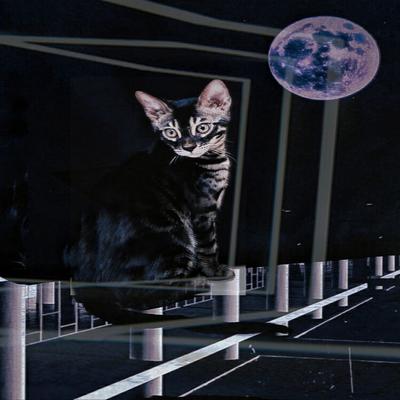 O Gato de Schrodinger (Vivo-Morto) By Ogatopreto's cover