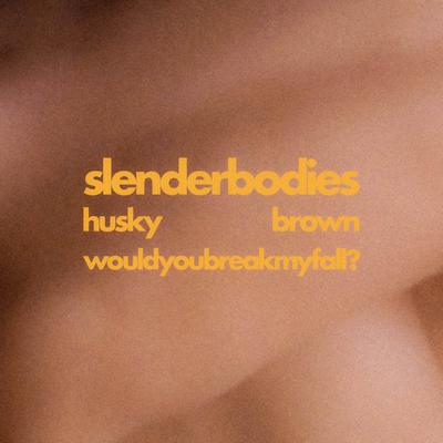 husky brown / would you break my fall?'s cover