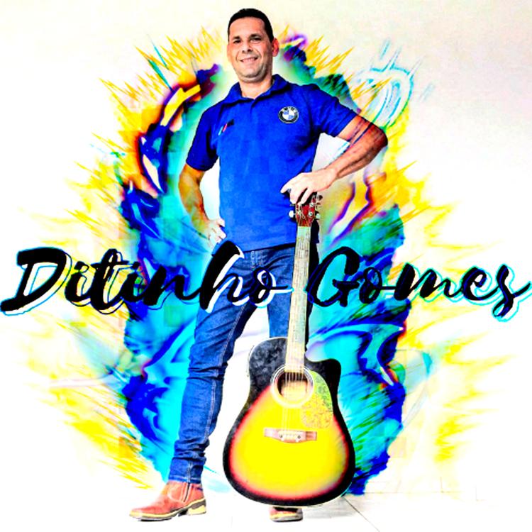 Ditinho Gomes's avatar image