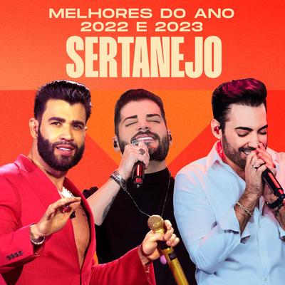 Não Me Recomendo (Ao Vivo)'s cover