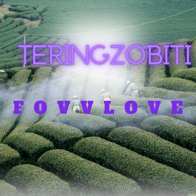 TeringZobiti's avatar image