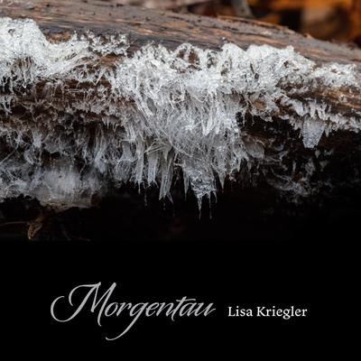 Morgentau By Lisa Kriegler's cover