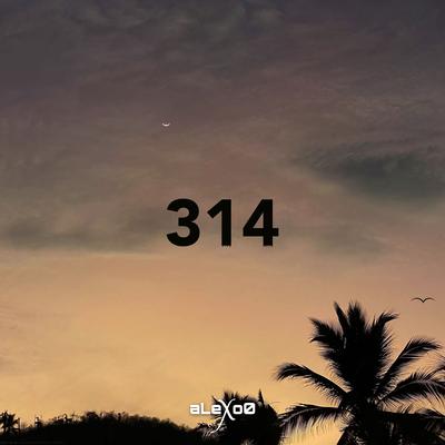 314 By aLeXo0's cover