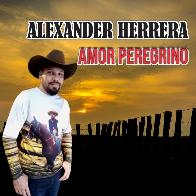 Alexander Herrera's avatar image
