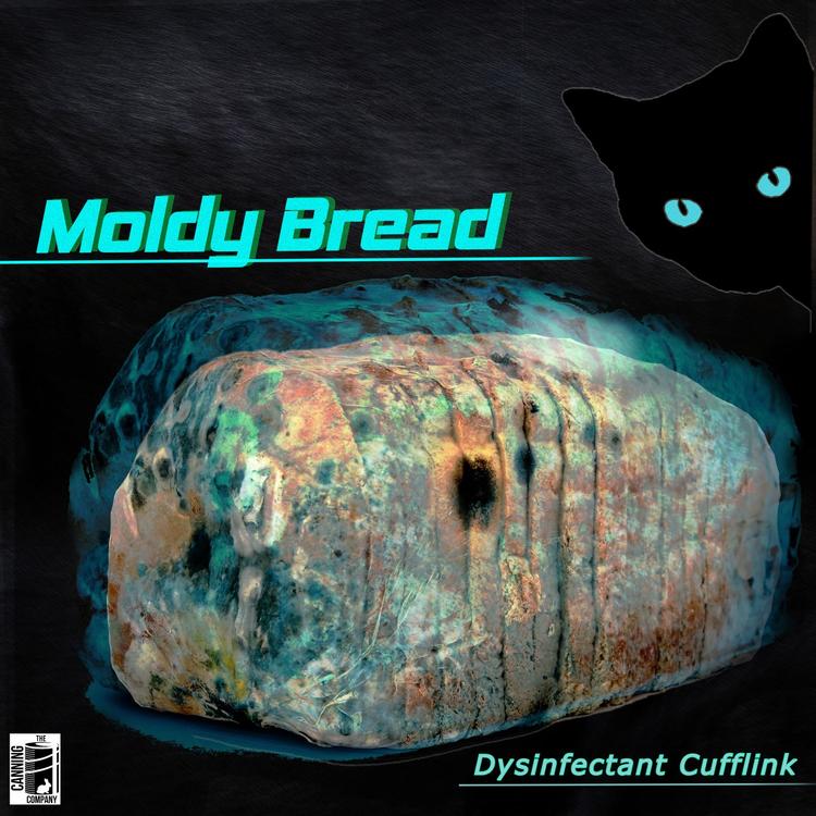Moldy Bread's avatar image