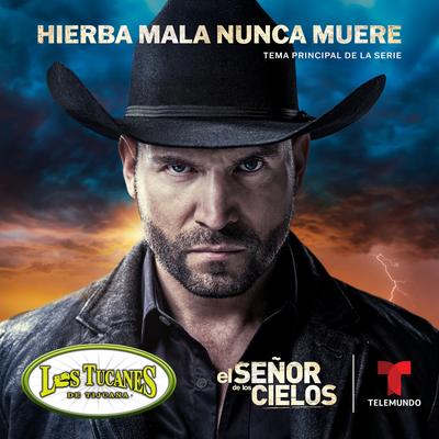 Hierba Mala Nunca Muere (Música Original de la Serie el Señor de los Cielos 8) By Los Tucanes De Tijuana's cover