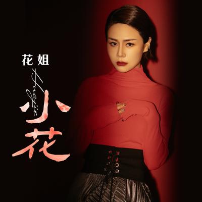 小花 (伴奏)'s cover