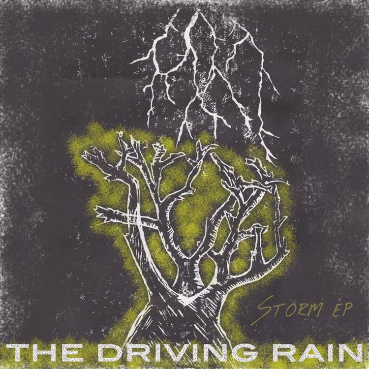 The Driving Rain's avatar image