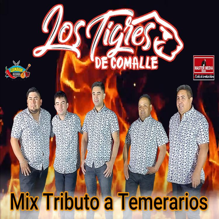 Los Tigres de Comalle's avatar image