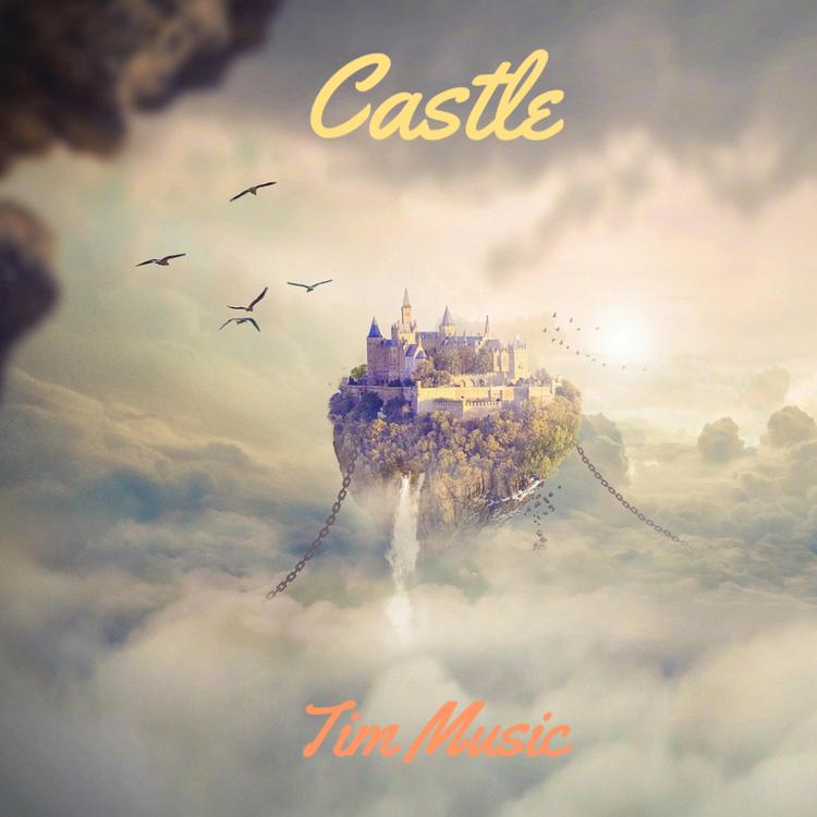 Tim Music's avatar image