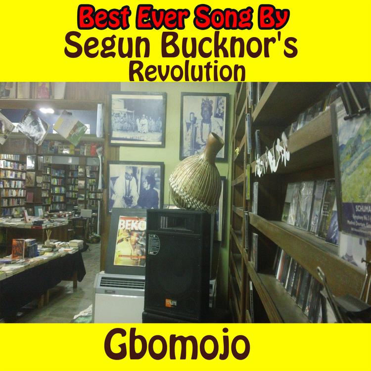 Segun Bucknor's Revolution's avatar image