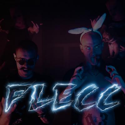 Flecc's cover