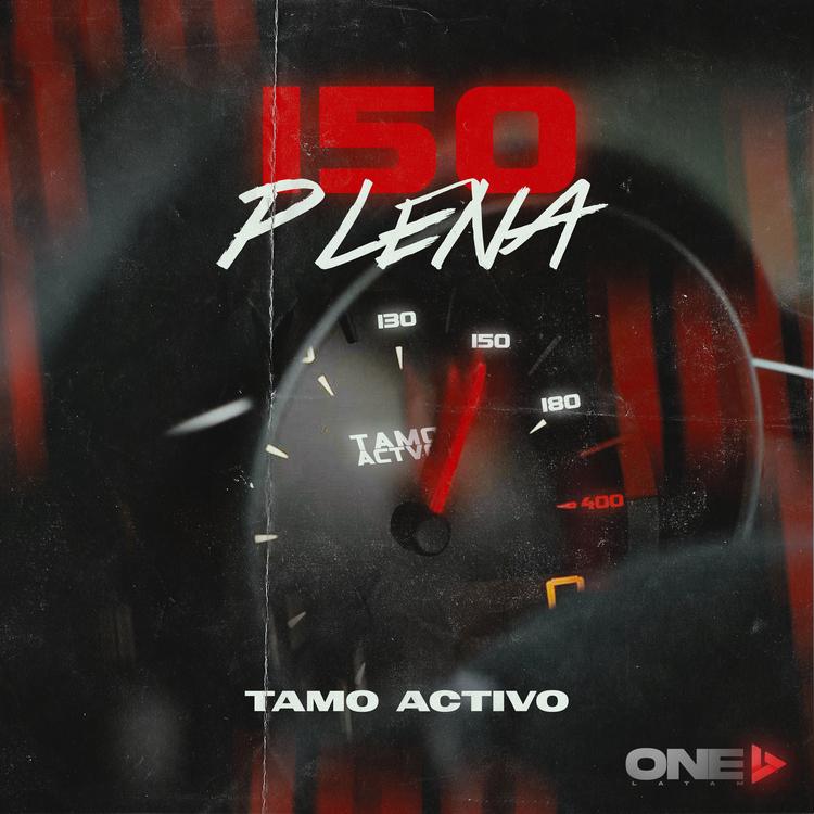 Tamo Activo's avatar image