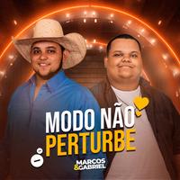 MARCOS E GABRIEL's avatar cover