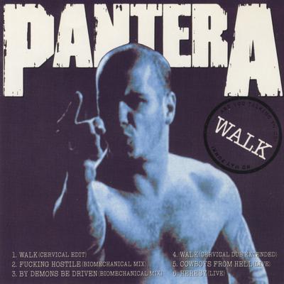 Walk (Cervical Edit) By Pantera's cover