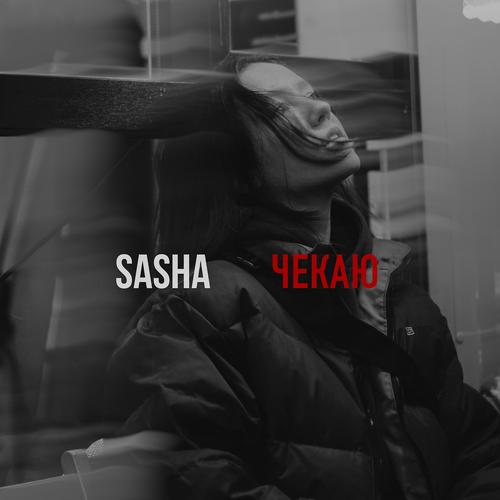 These Dayz Official TikTok Music  album by Sasha - Listening To