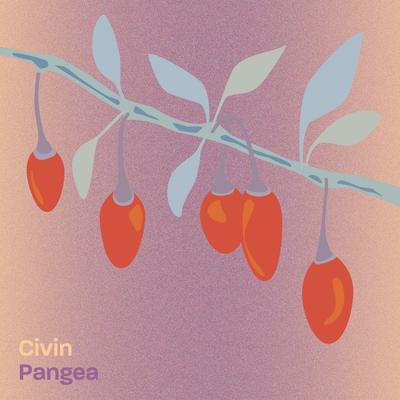 Pangea By Civin's cover