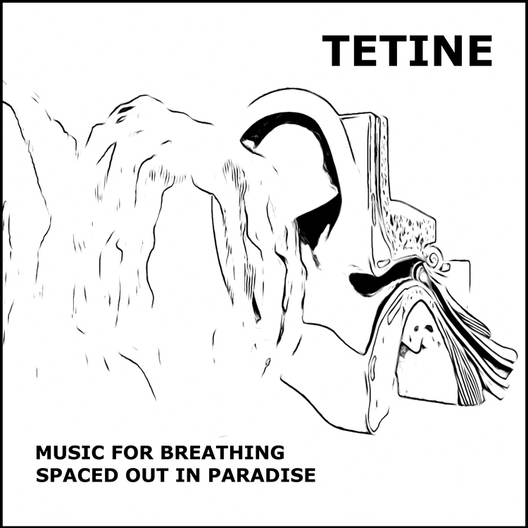 Tetine's avatar image