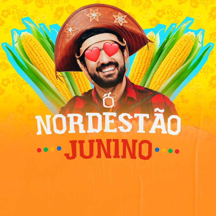 Nordestão's avatar image