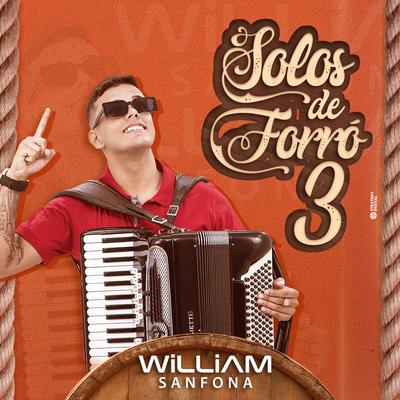Solos de Forró 3's cover