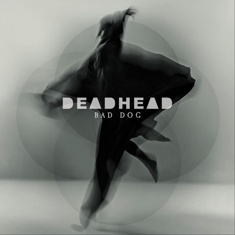 Deadhead's avatar image