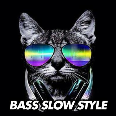 BASS SLOW STYLE's cover