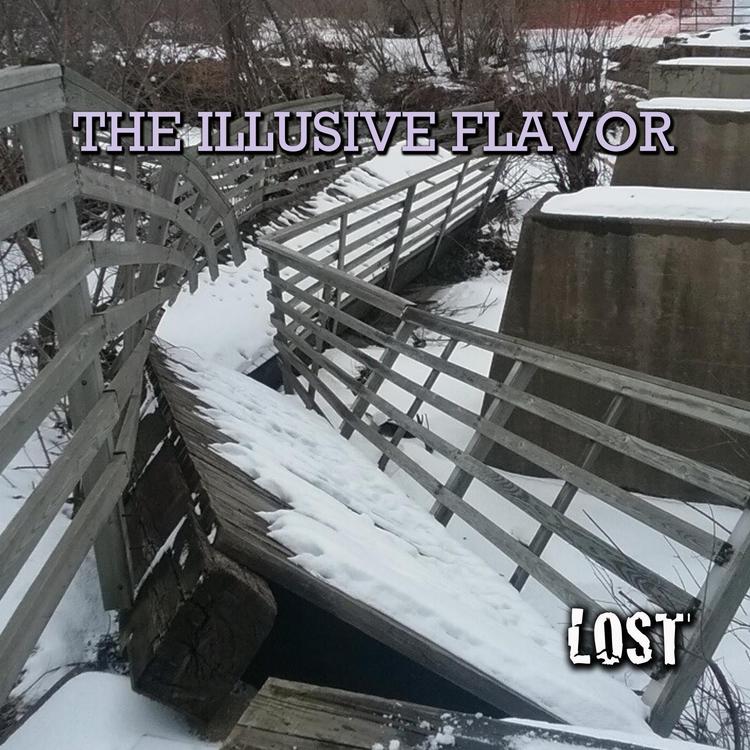 The Illusive Flavor's avatar image