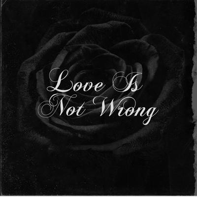 Love Is Not Wrong's cover