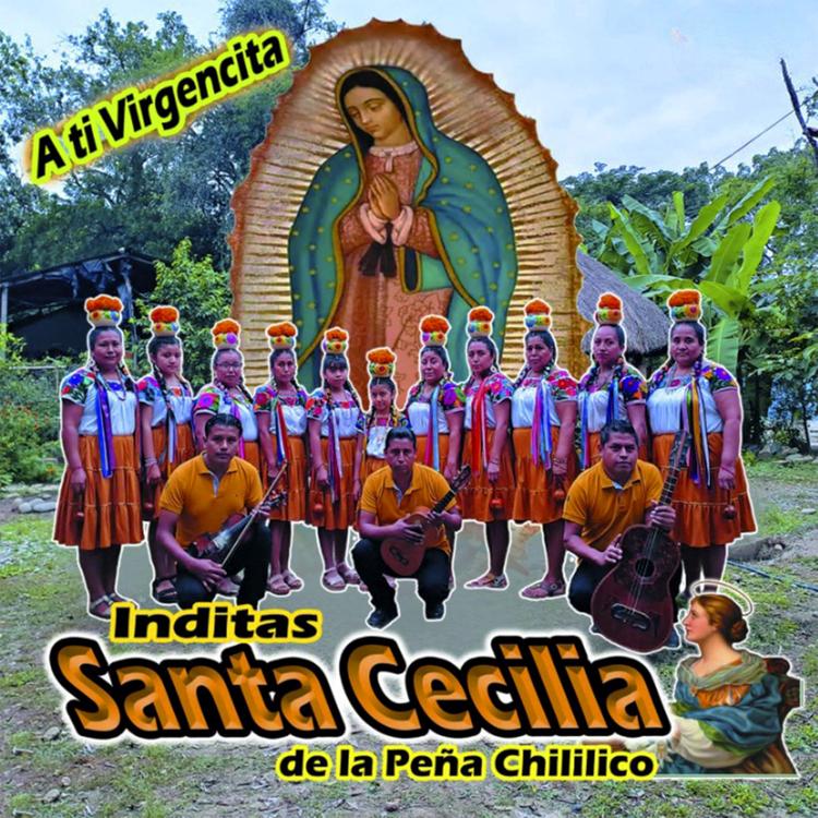 INDITAS SANTA CECILIA DE LA PEÑA CHILILICO's avatar image