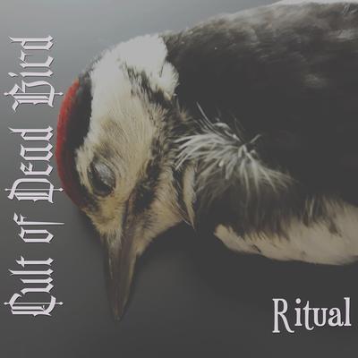 The Witch By Cult of Dead Bird's cover