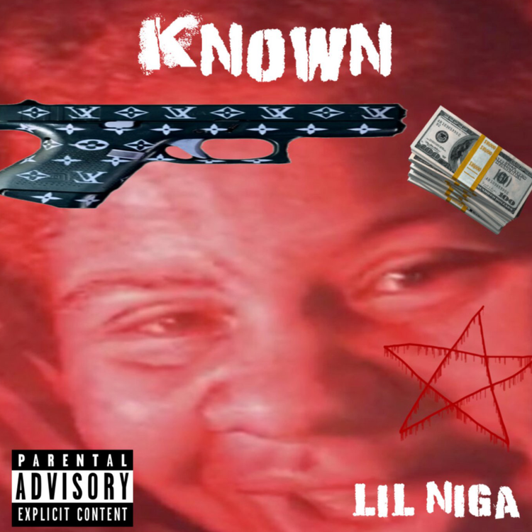 Lil Niga's avatar image