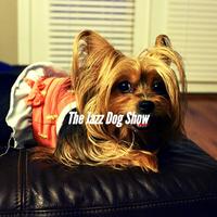 Dog Jazz Sounds's avatar cover
