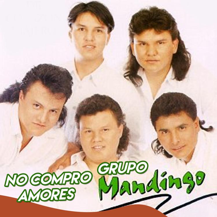 Grupo Mandingo's avatar image