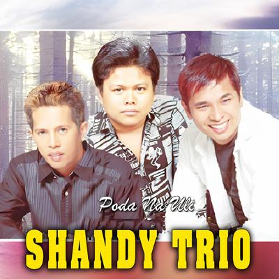 Shandy Trio Poda Nauli's cover