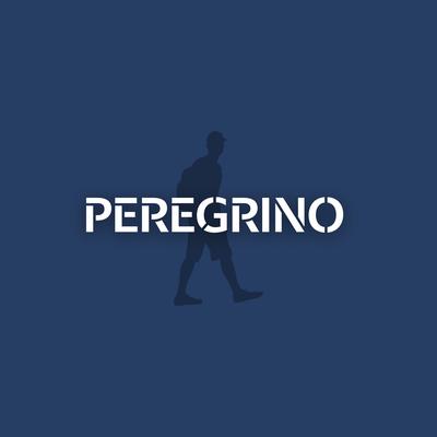 Peregrino By Thiago Bacil, Fabinho Bacil, Dj Salgueirinho's cover