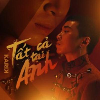 Tất Cả Tại Anh's cover