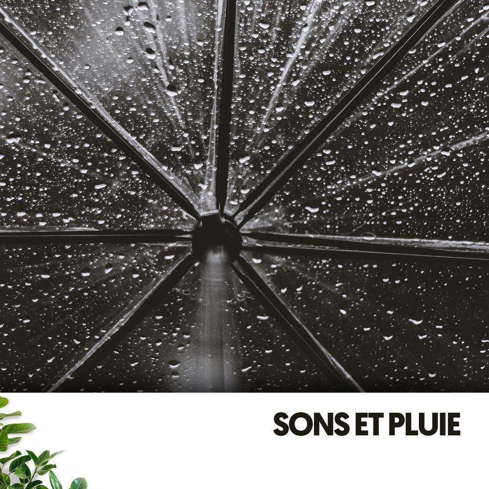 bruit de la pluie le son de la pluie Official Tiktok Music - Orage