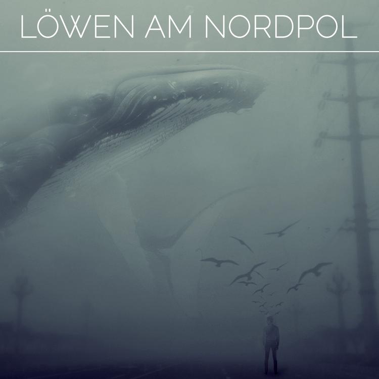 Löwen am Nordpol's avatar image