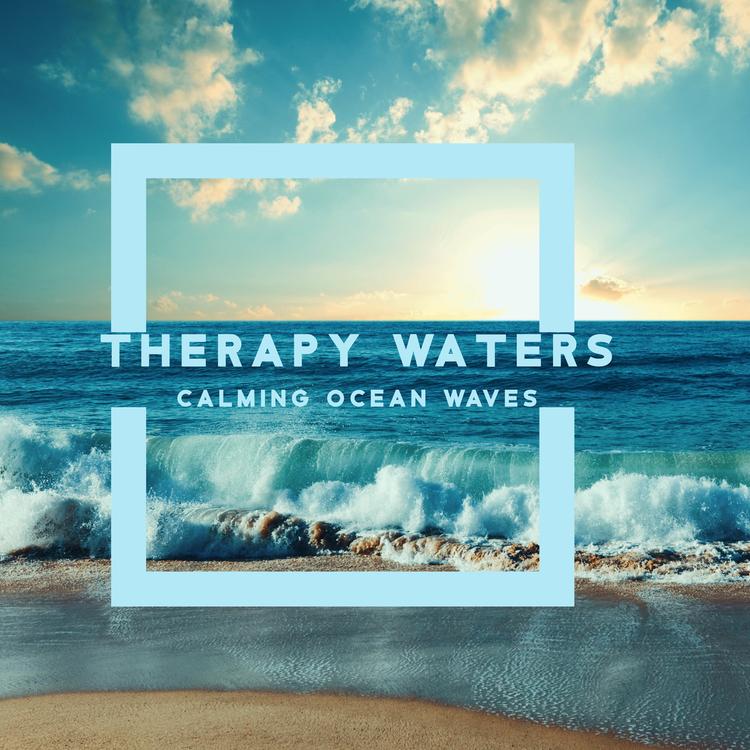 Calming Waters Consort's avatar image