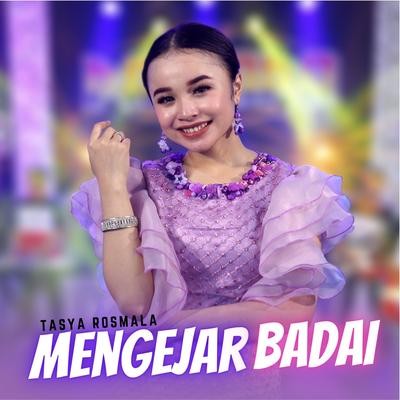 Mengejar Badai By Tasya Rosmala's cover