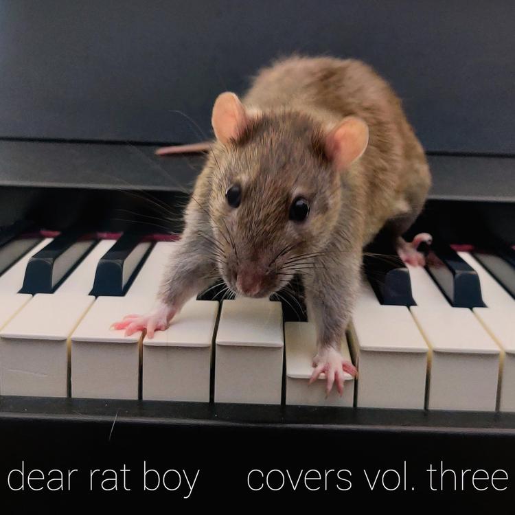 Dear Rat Boy's avatar image