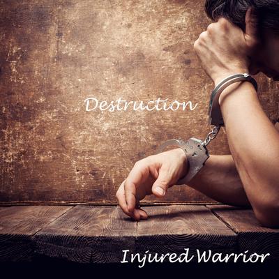 Injured Warrior's cover
