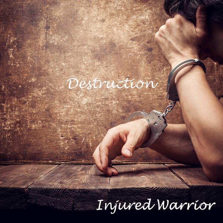 Injured Warrior's avatar image